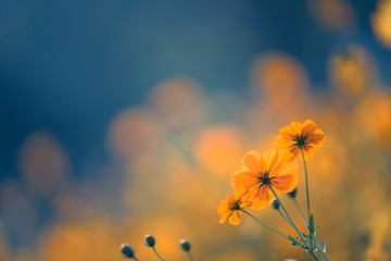 全球最伟大的物理学家