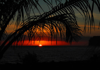 学生会团日活动策划方案