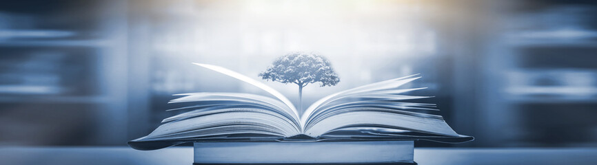 如何从认识意义的角度理解科学的本质