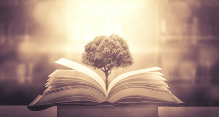 学生会团日活动策划方案