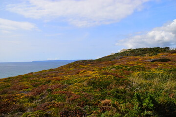 数学家华罗庚手抄报内容简单