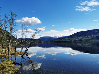 社区护士应注重哪几个方面的培养
