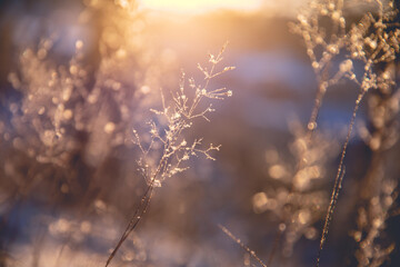 四川大学网络空间安全学院博士毕业条件