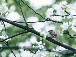 老年健康活动周宣传总结