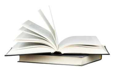 学生会团日活动策划方案