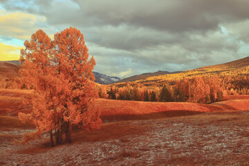 四川大学网络空间安全学院博士毕业条件