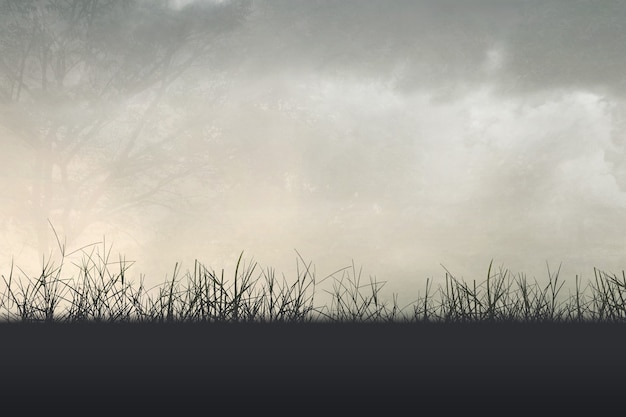 杰德5AT和CVT哪个好