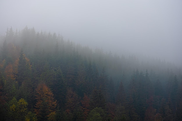 全球最伟大的物理学家