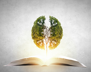 四川大学网络空间安全学院博士毕业条件