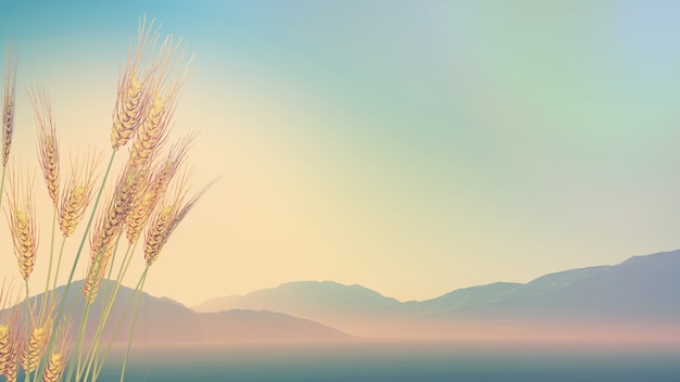 科一扣分136912记不住