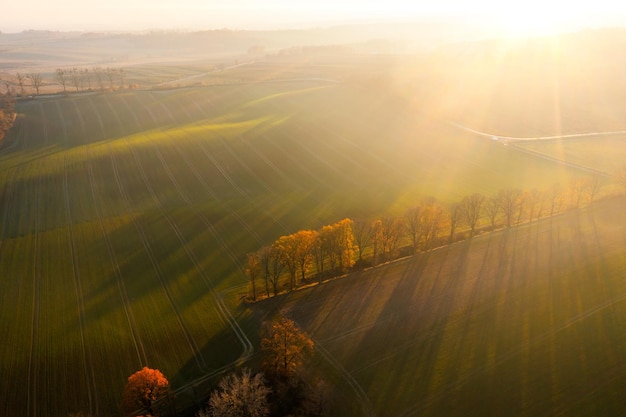数学家华罗庚手抄报内容简单
