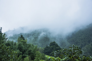举办2023五一劳动节活动总结